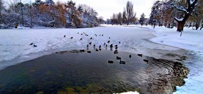 Прикрепленное изображение: 2021-02-19 13-26-24-1.JPG